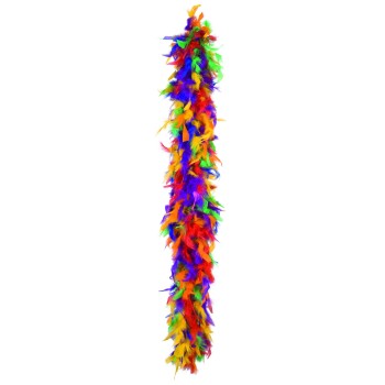 Boa plumes multicolores