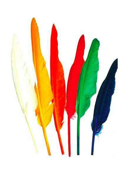 Lot de 12 plumes indiens