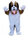 Mascotte de Saint Bernard