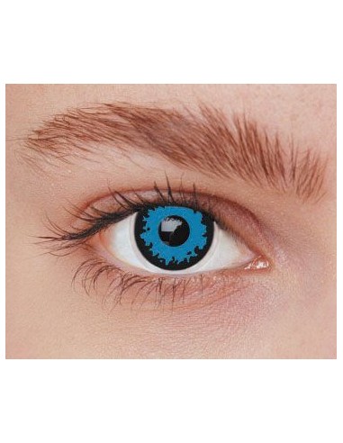 Lentilles loup bleu