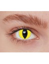 Lentilles iris chat jaune