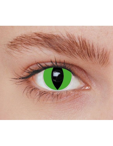 Lentilles iris chat vert