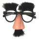 Lunettes Groucho avec nez et poils
